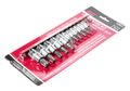 Набор головок торцевых JTC-3902 (1/4"-3/8", TORX, Т10Н-Т60Н, с отверстием, 11 предметов)
