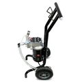 Окрасочный агрегат HYVST SPX 1250-310