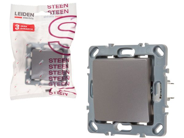 Выключатель 1 клав. (скрытый, механизм, 10А) алюминий, Steen, LEIDEN ELECTRIC
