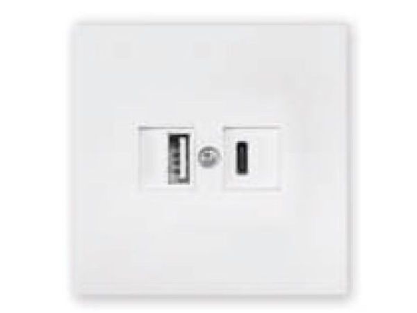 Розетка с двумя USB-разъемами (скрытая, узел) белая, Carre BYLECTRICA