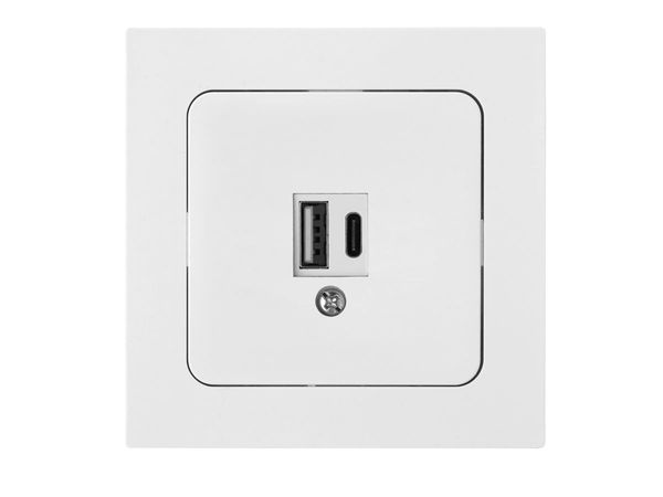 Розетка с двумя USB-разъемами (скрытая) белая, Astrum BYLECTRICA