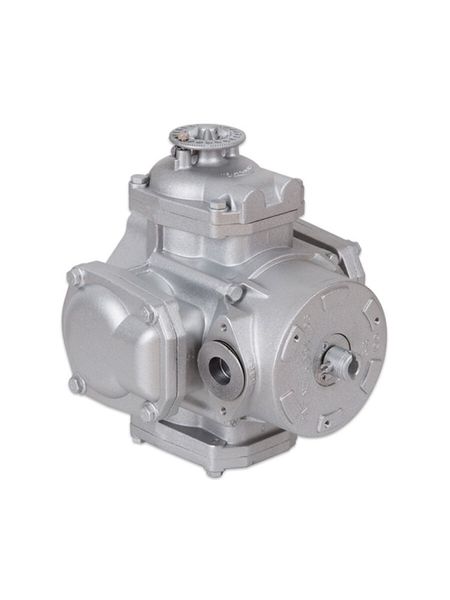 RSJ-50 - Импульсный поршневой счетчик для топлива и ДТ Petropump PP830501, 5-60 л/мин